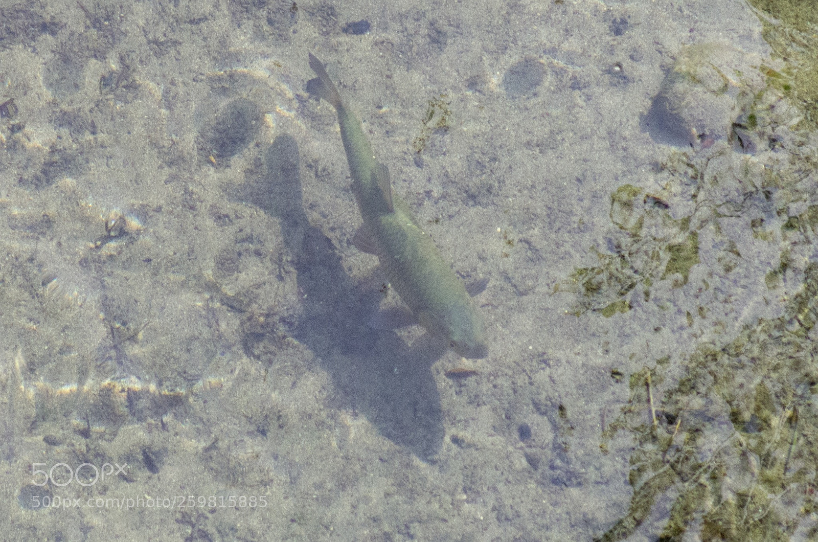 Pentax K-5 sample photo. Untitled photography