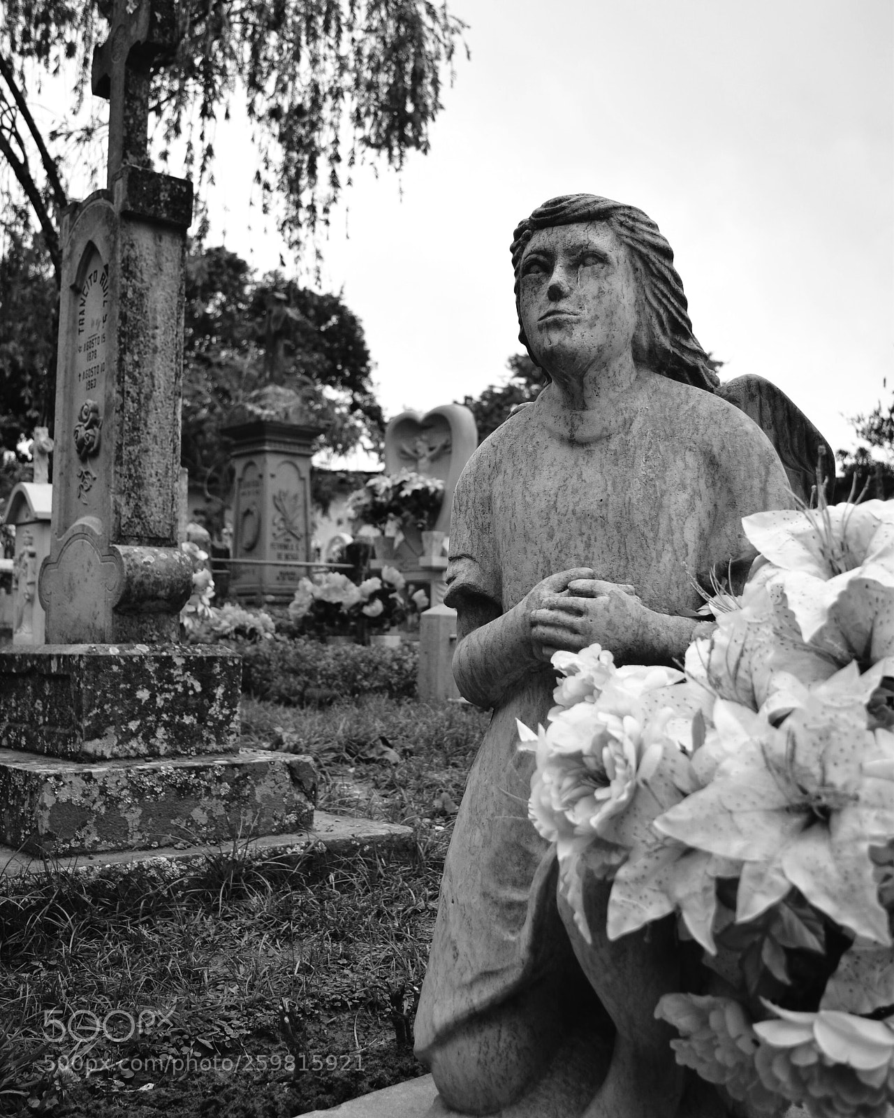 Nikon D3300 sample photo. Cementerio photography