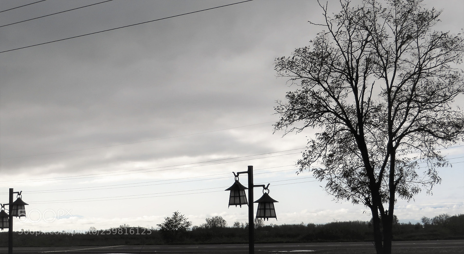 Canon PowerShot SX270 HS sample photo. Nurture photography
