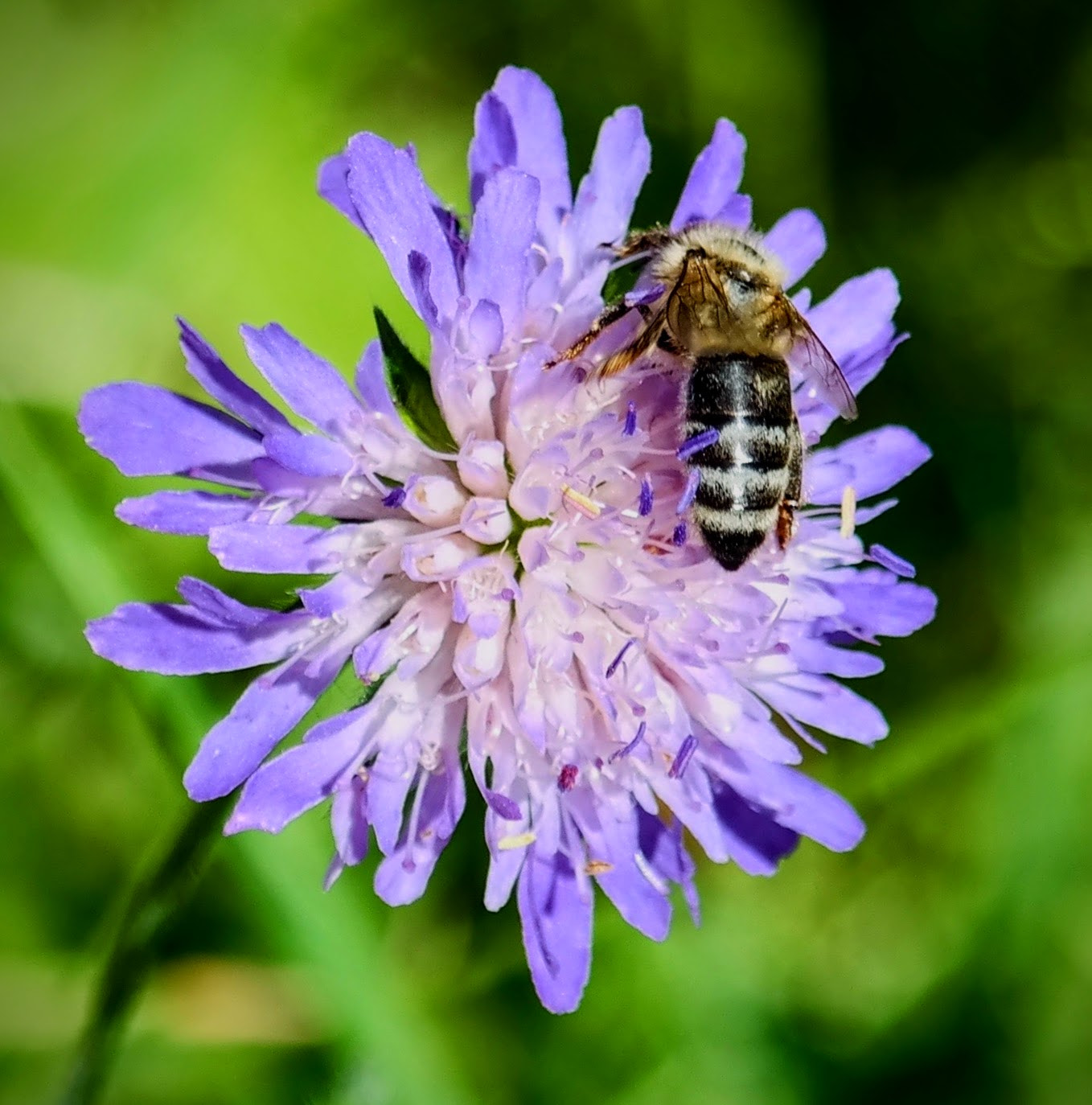 Samsung NX300M sample photo. Working photography