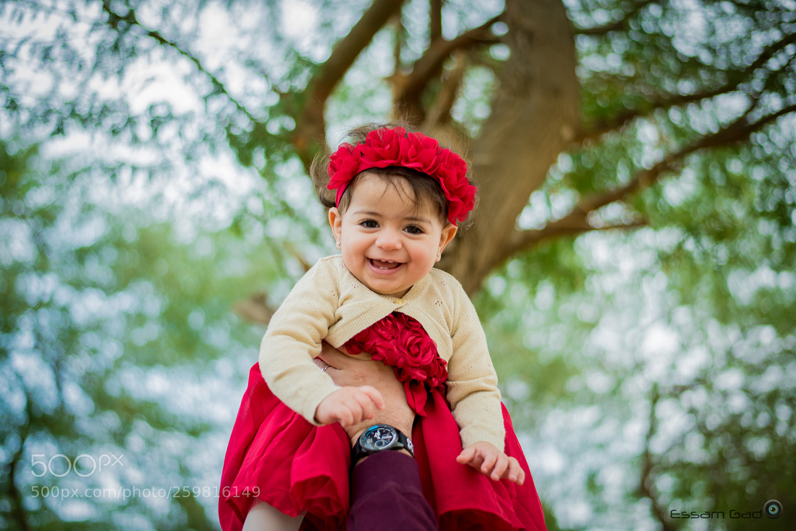 Nikon D810 sample photo. Jan photography