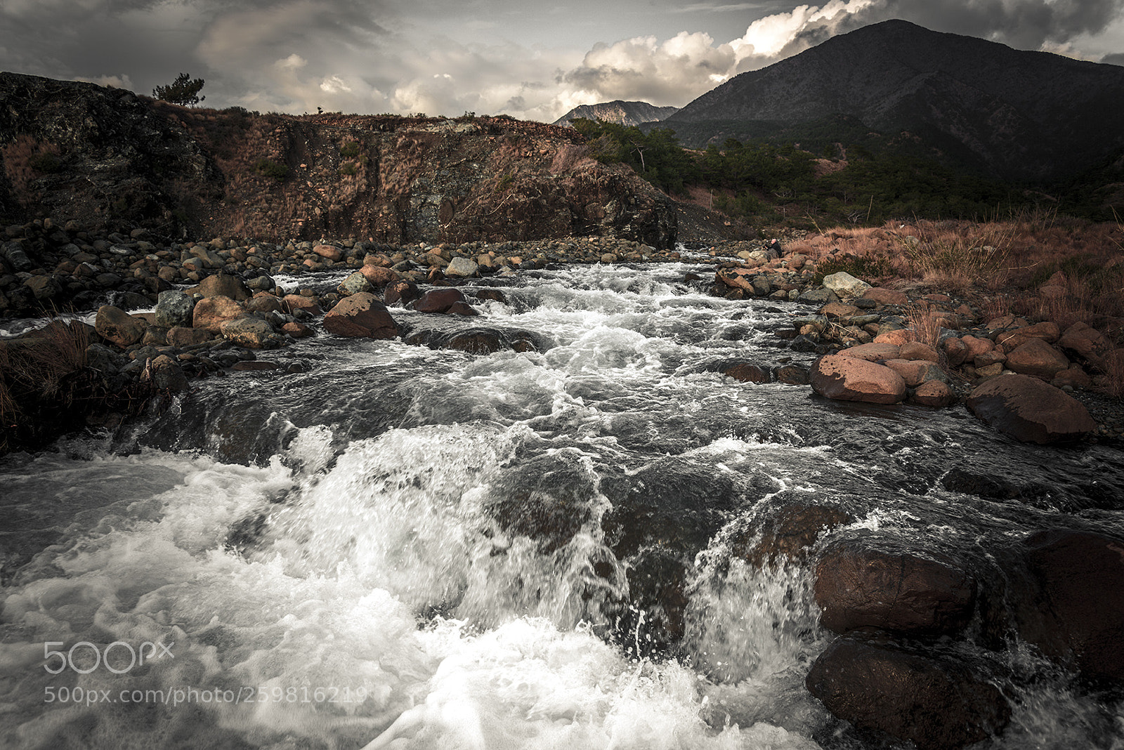 Nikon D810 sample photo. Untitled photography