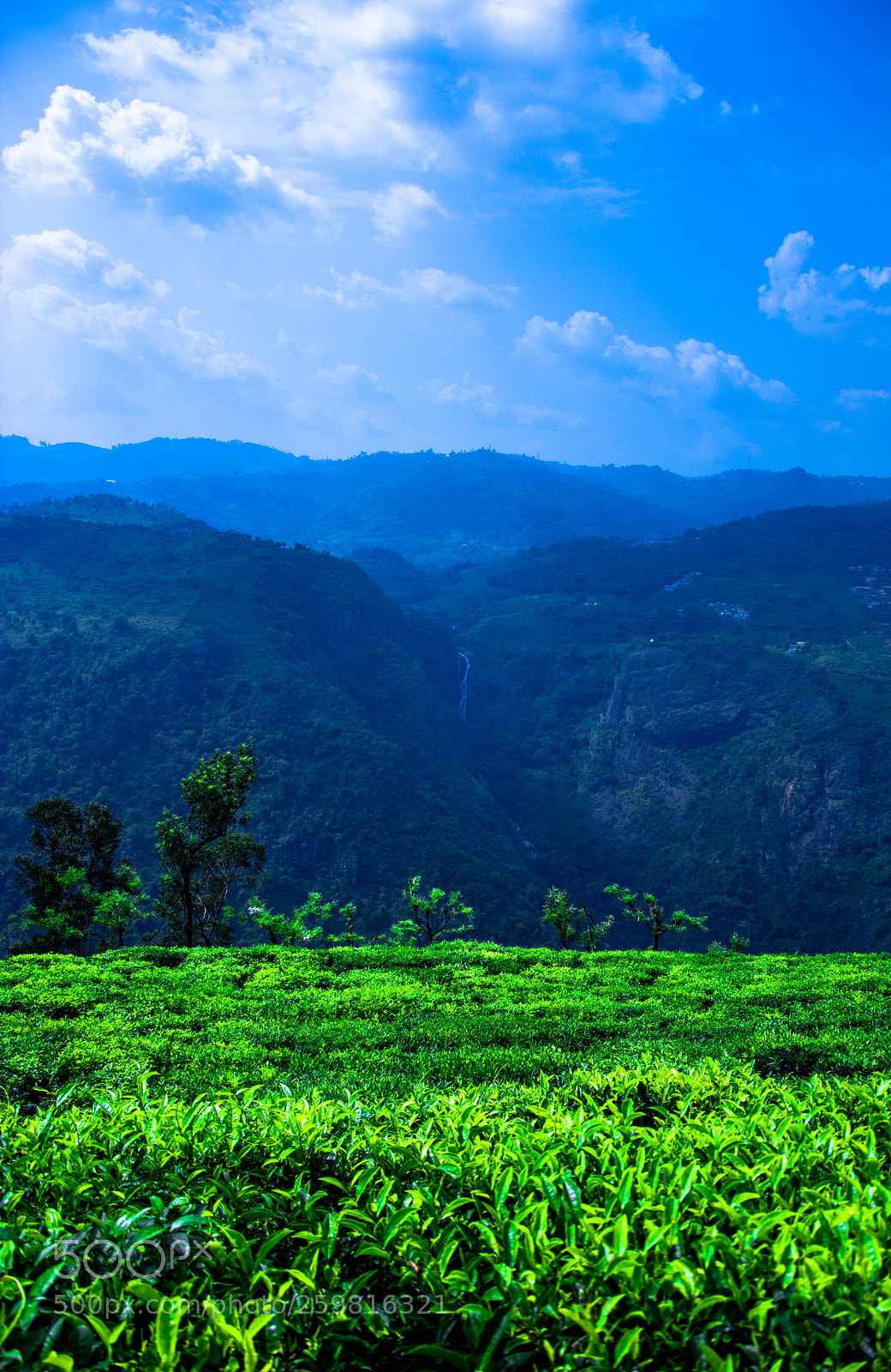 Nikon D7100 sample photo. The view photography