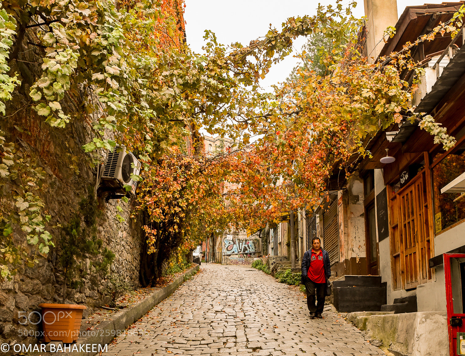 Nikon D750 sample photo. Back lane photography