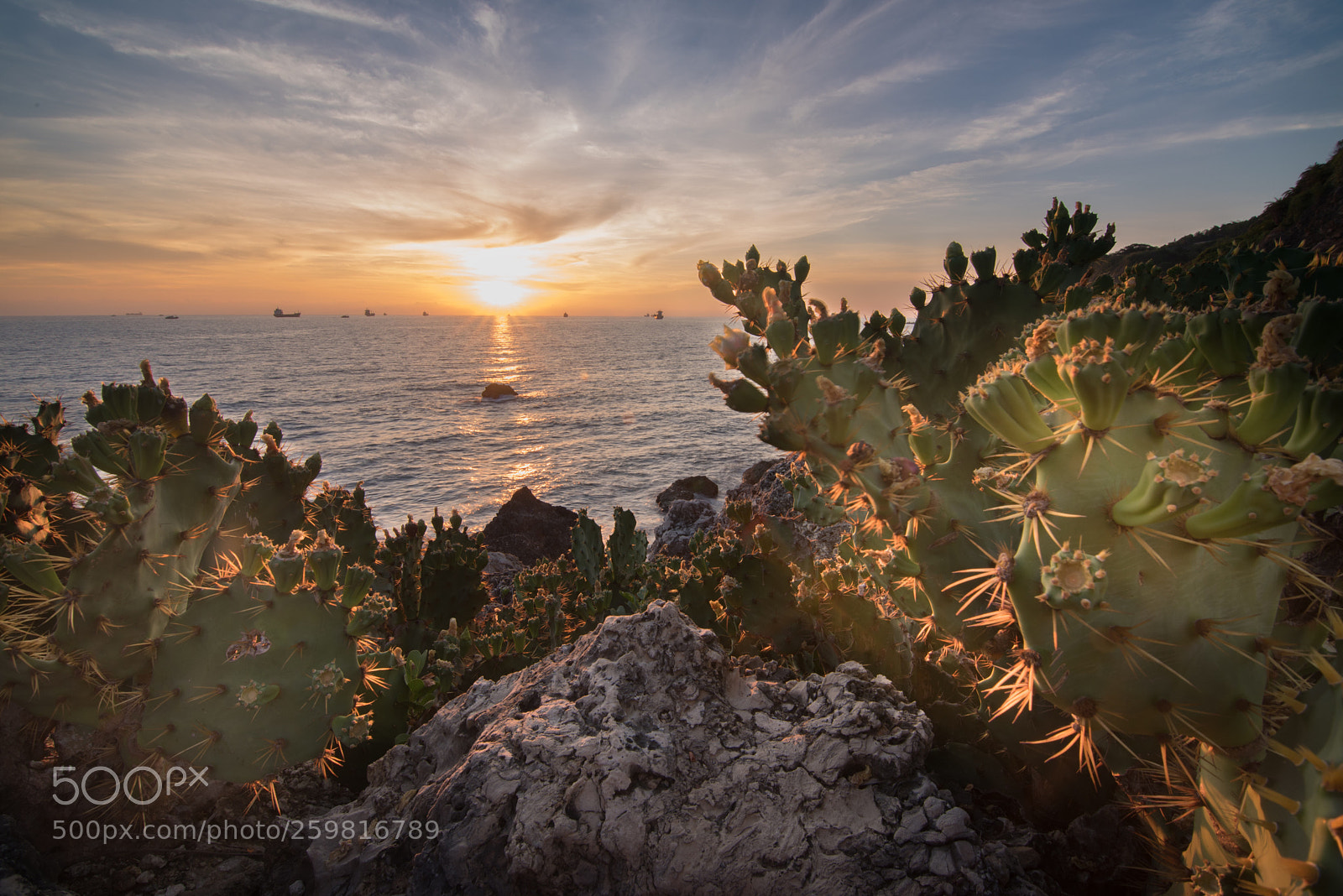 Nikon D750 sample photo. Sunset photography