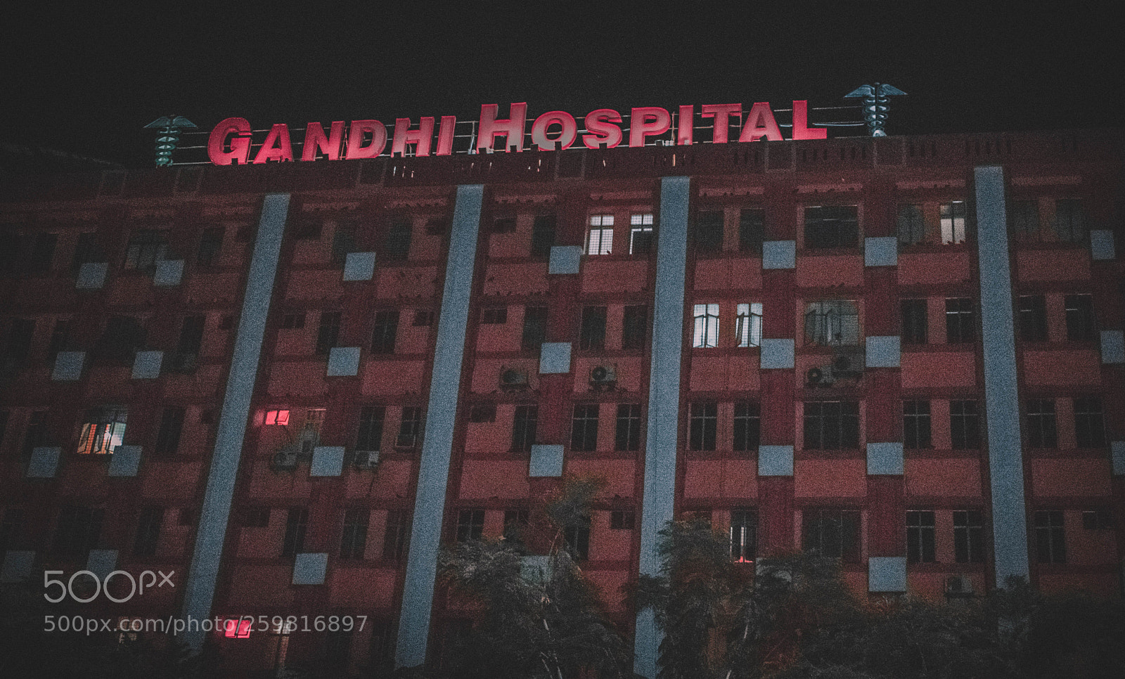 Nikon D3400 sample photo. Untitled photography