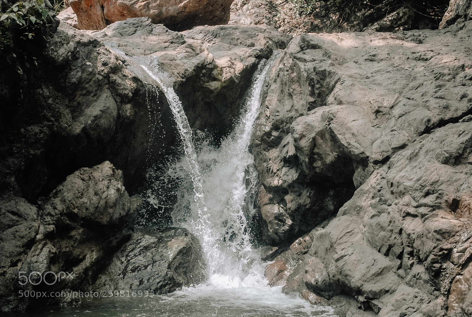 Nikon D60 sample photo. Untitled photography
