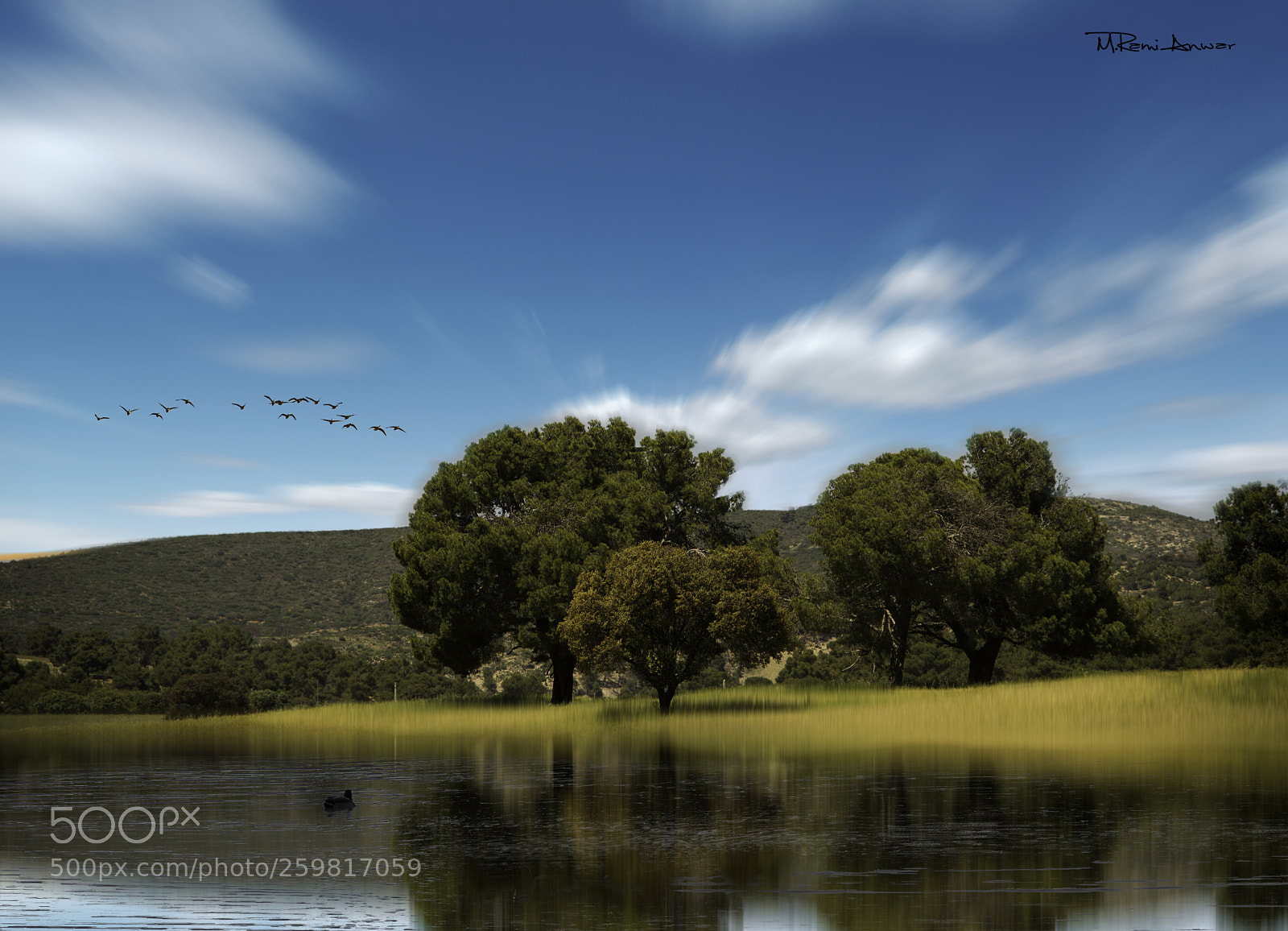 Nikon D600 sample photo. Magic of nature photography