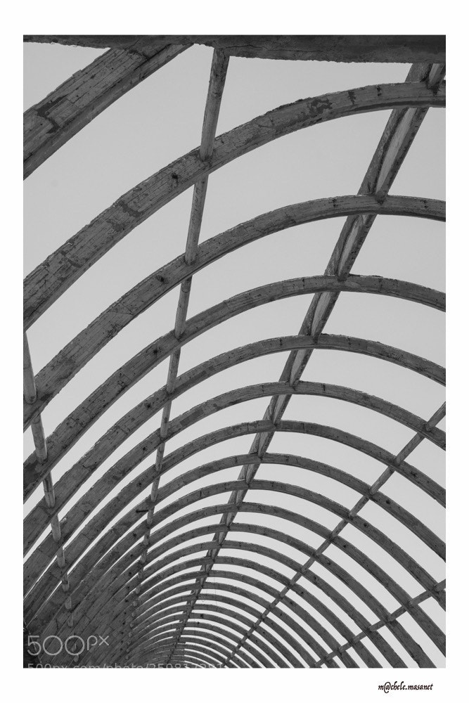 Nikon D5300 sample photo. Concrete skeleton 2 photography