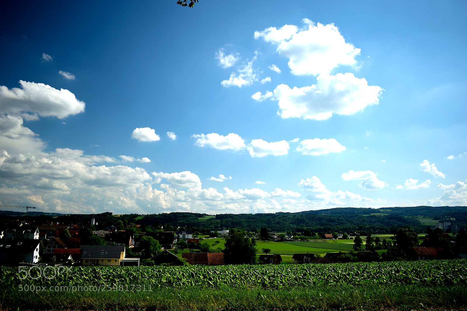 Nikon D3300 sample photo. Dorf photography