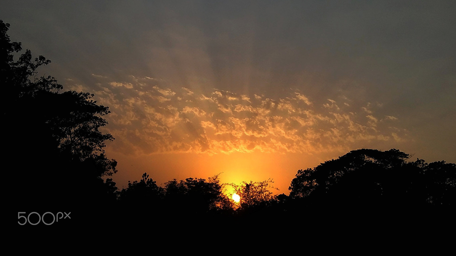Xiaomi Redmi 4 Pro sample photo. Sunset_ photography