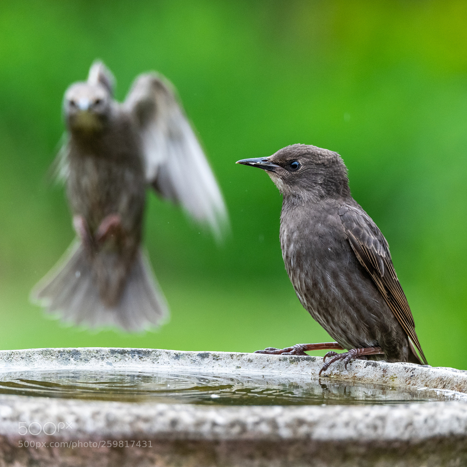 Nikon D850 sample photo. Incoming! photography