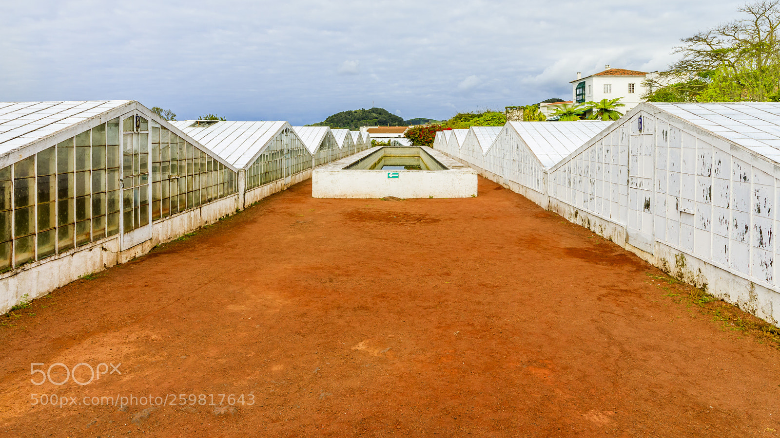 Canon EOS 5D Mark IV sample photo. A ores-s o miguel-ponta photography