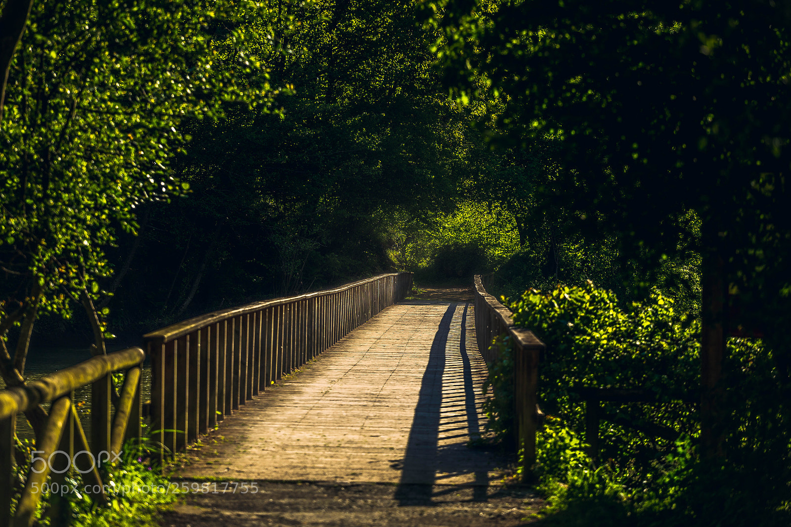 Canon EOS 6D sample photo. Puente photography