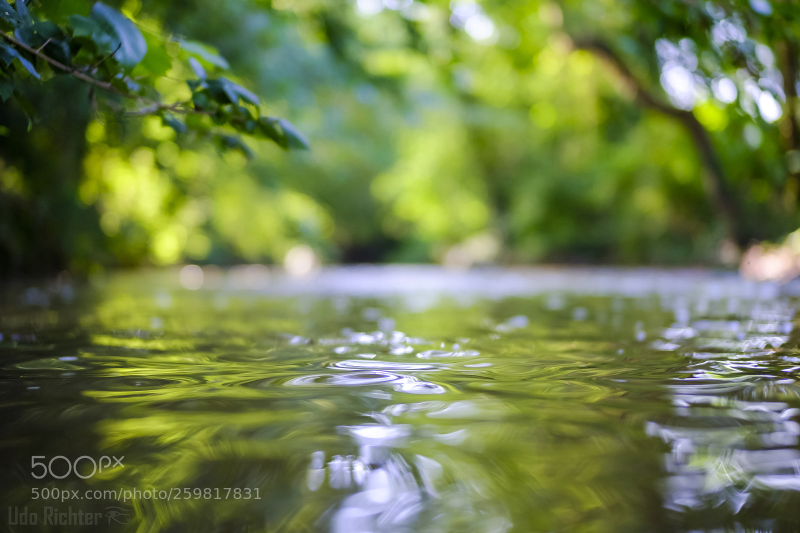 Fujifilm X-T20 sample photo. 'quiet' photography