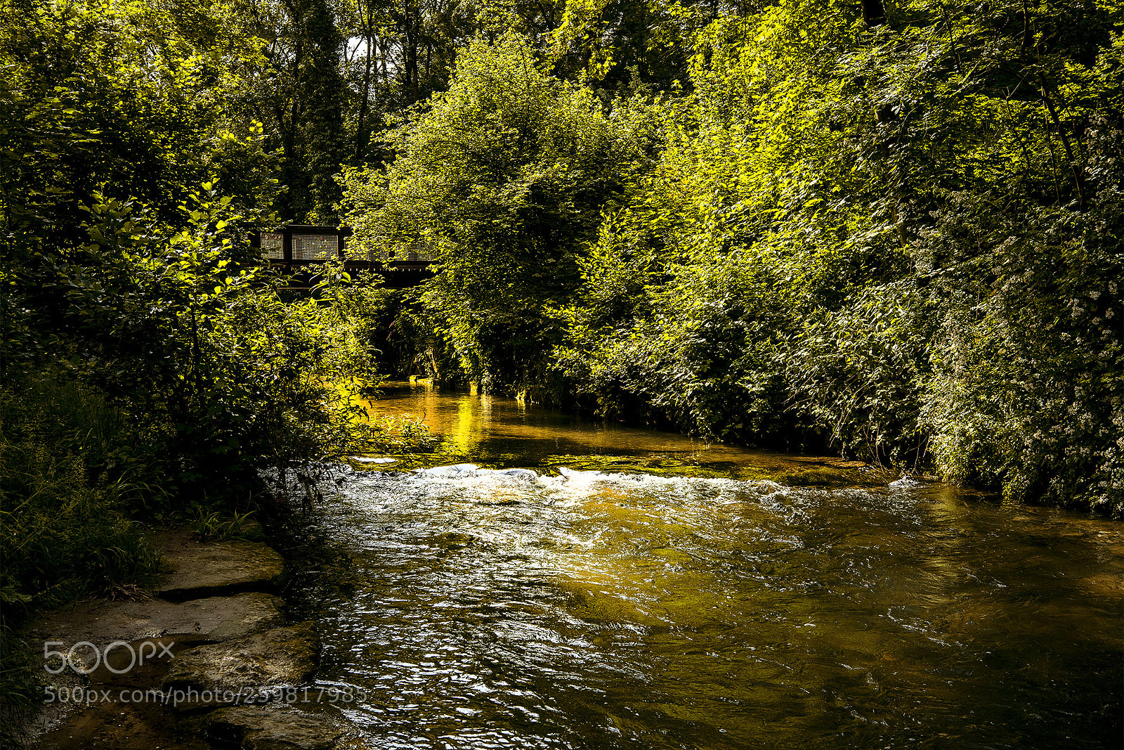 Sony a7R II sample photo. Reutlingen 260518-008 photography
