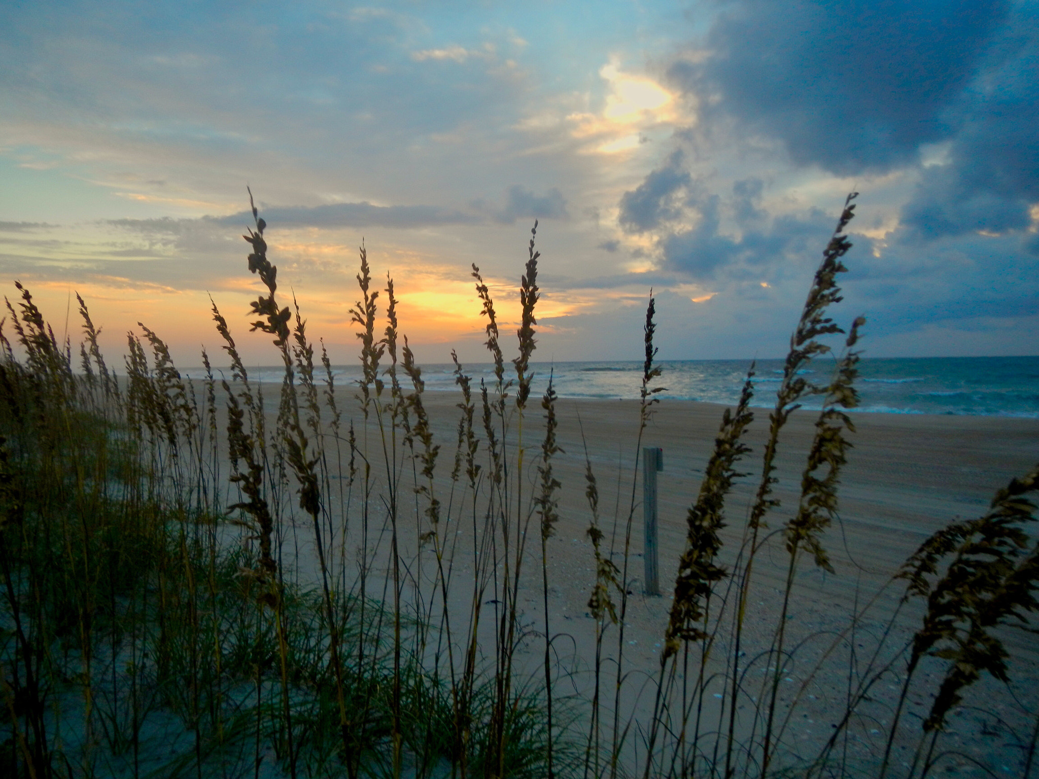 Nikon Coolpix AW100 sample photo. Sea oats sunrise photography