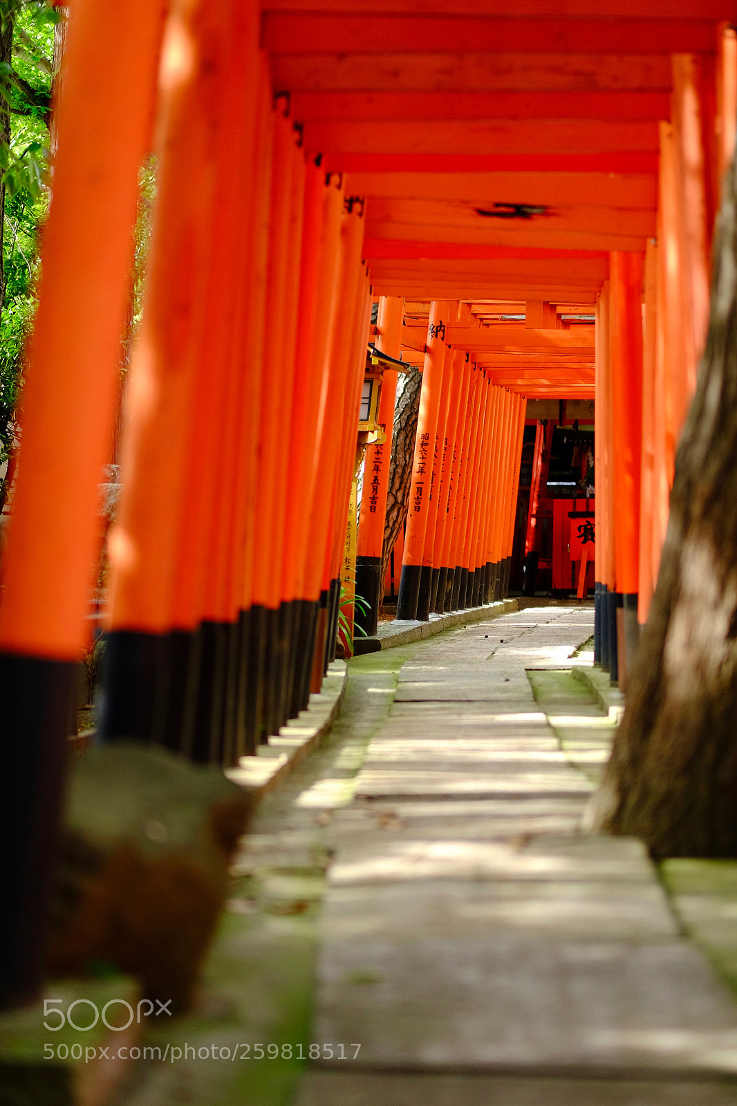 Fujifilm X-E2 sample photo. Shrine photography