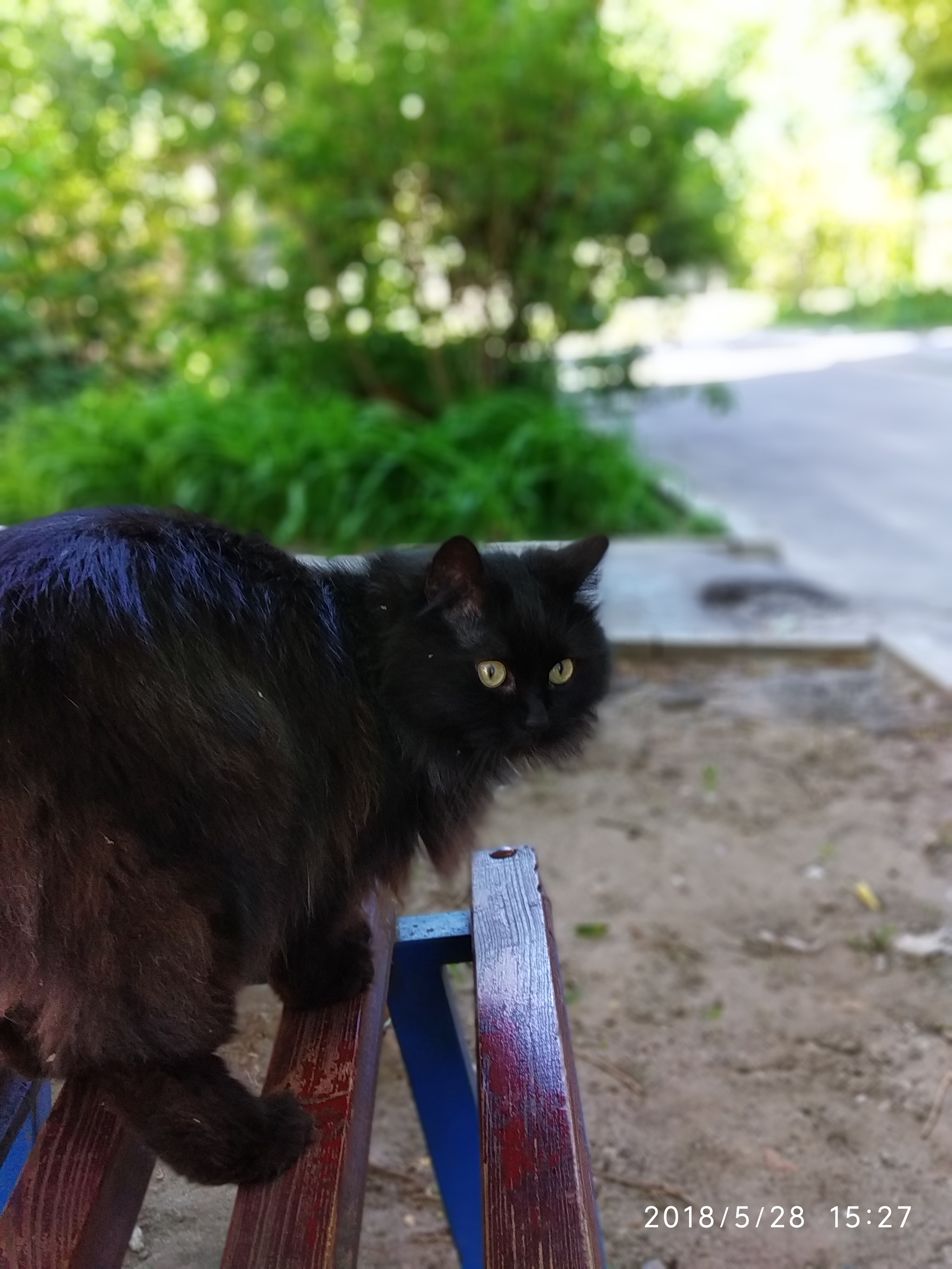 Xiaomi Redmi S2 sample photo