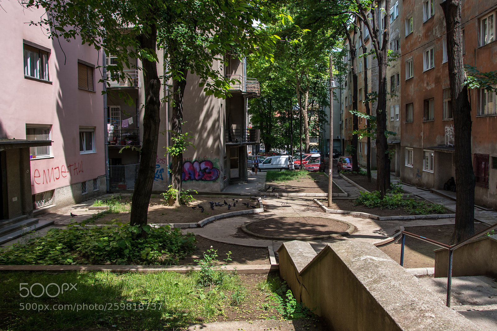 Nikon D7200 sample photo. Different kind of suburbia photography