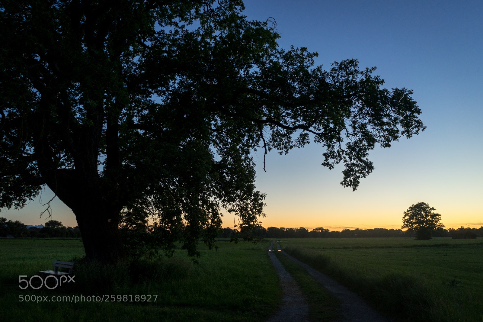 Sony a7 II sample photo. Lachsgang sunset stroll photography