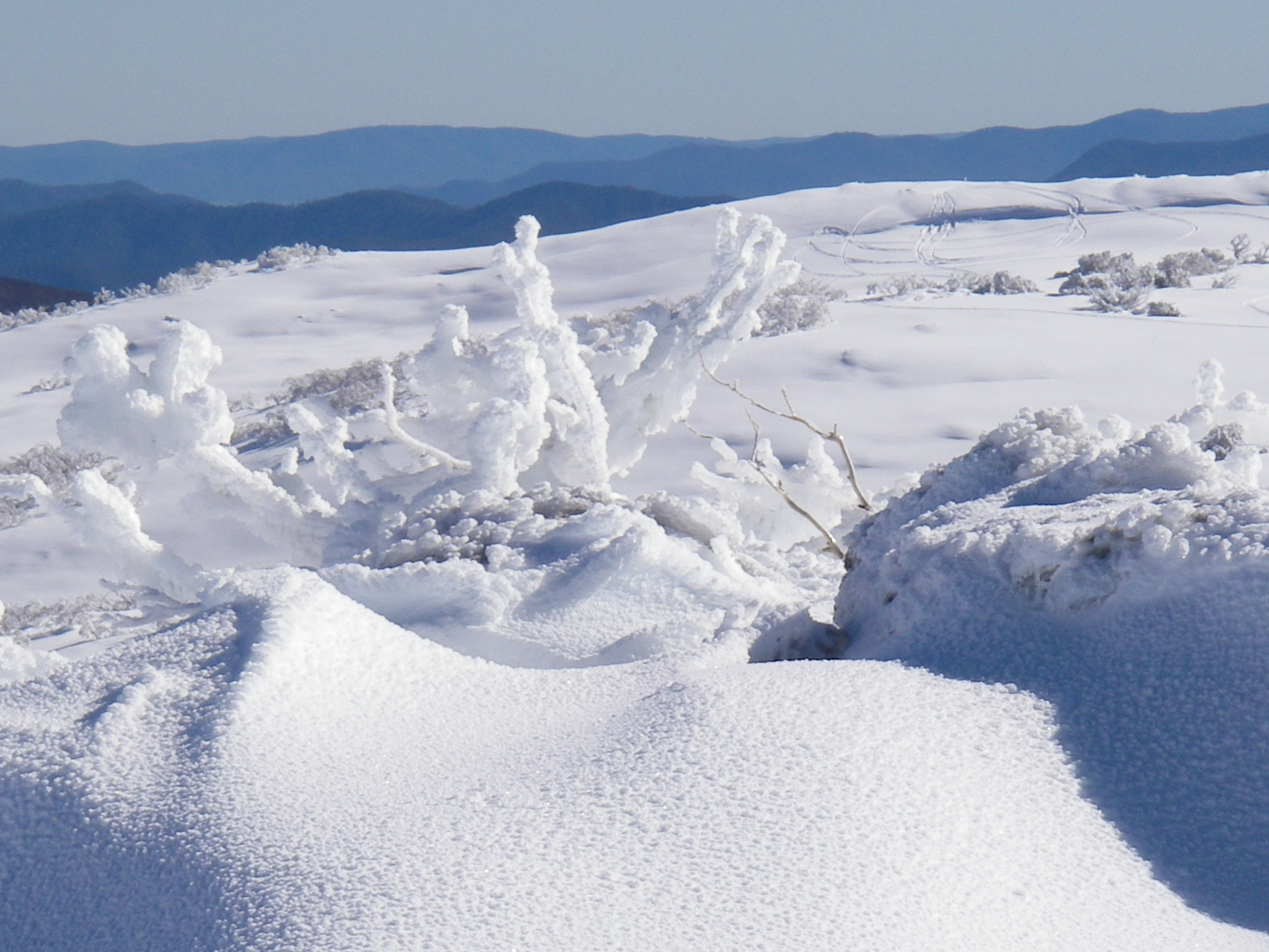 Pentax OPTIO W20 sample photo. Aussie frost photography