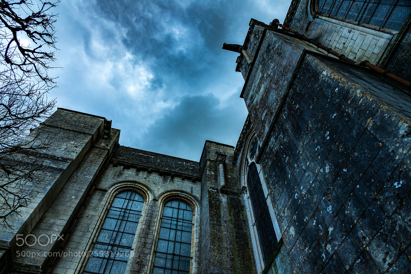 Sony Cyber-shot DSC-RX10 III sample photo. Trop dark photography