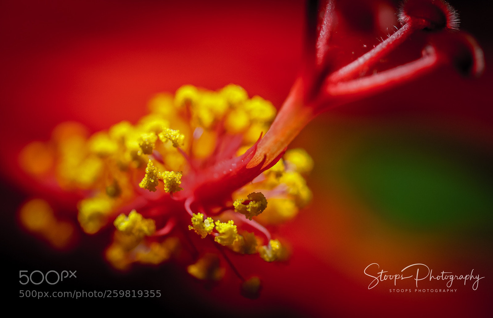 Canon EOS 80D sample photo. Exposed photography
