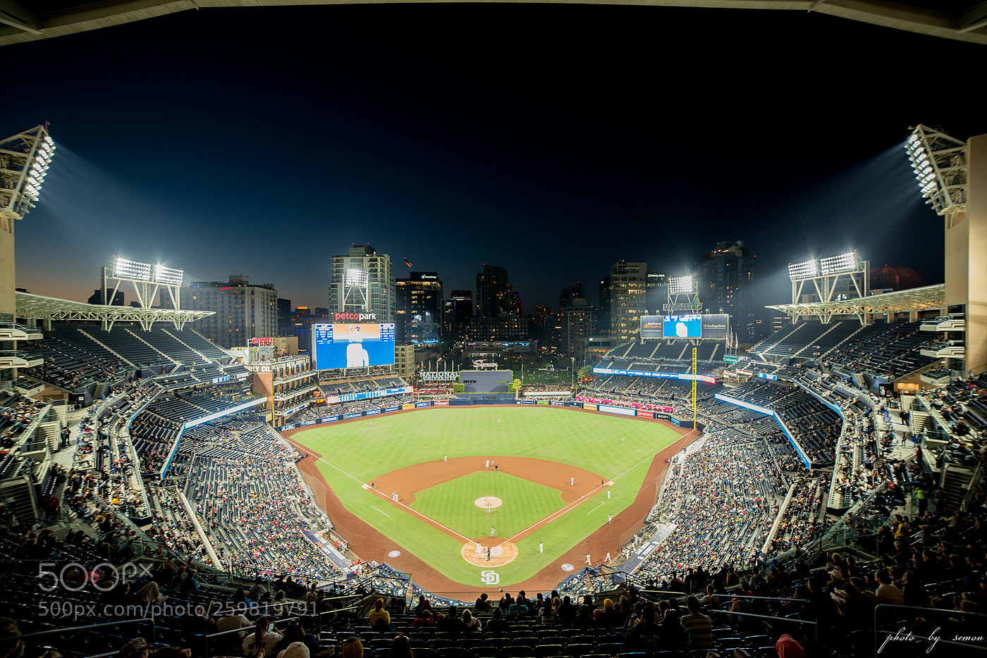 Nikon D800 sample photo. Wide angle for petco photography