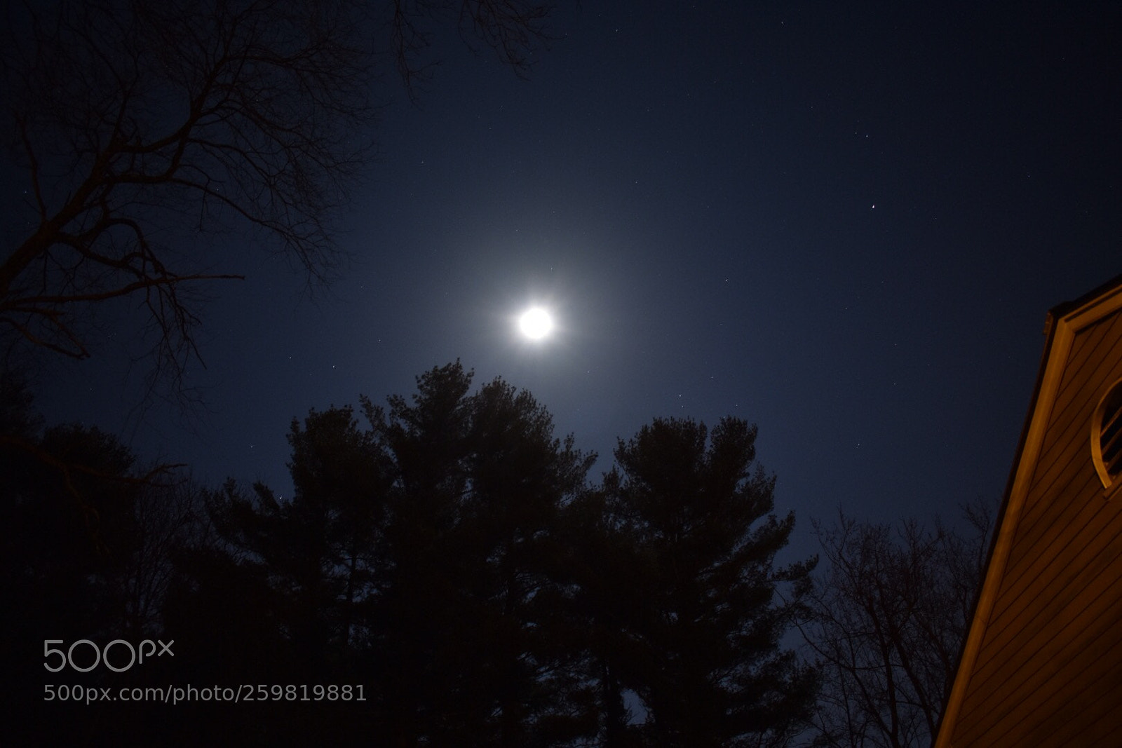 Nikon D3400 sample photo. Untitled photography