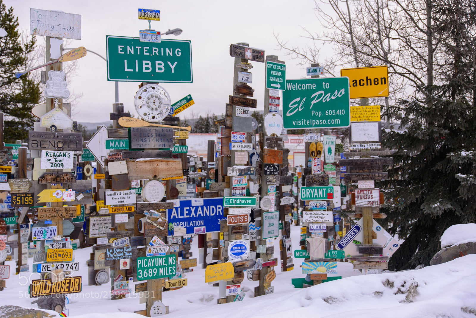 Nikon D610 sample photo. Signpost forest photography