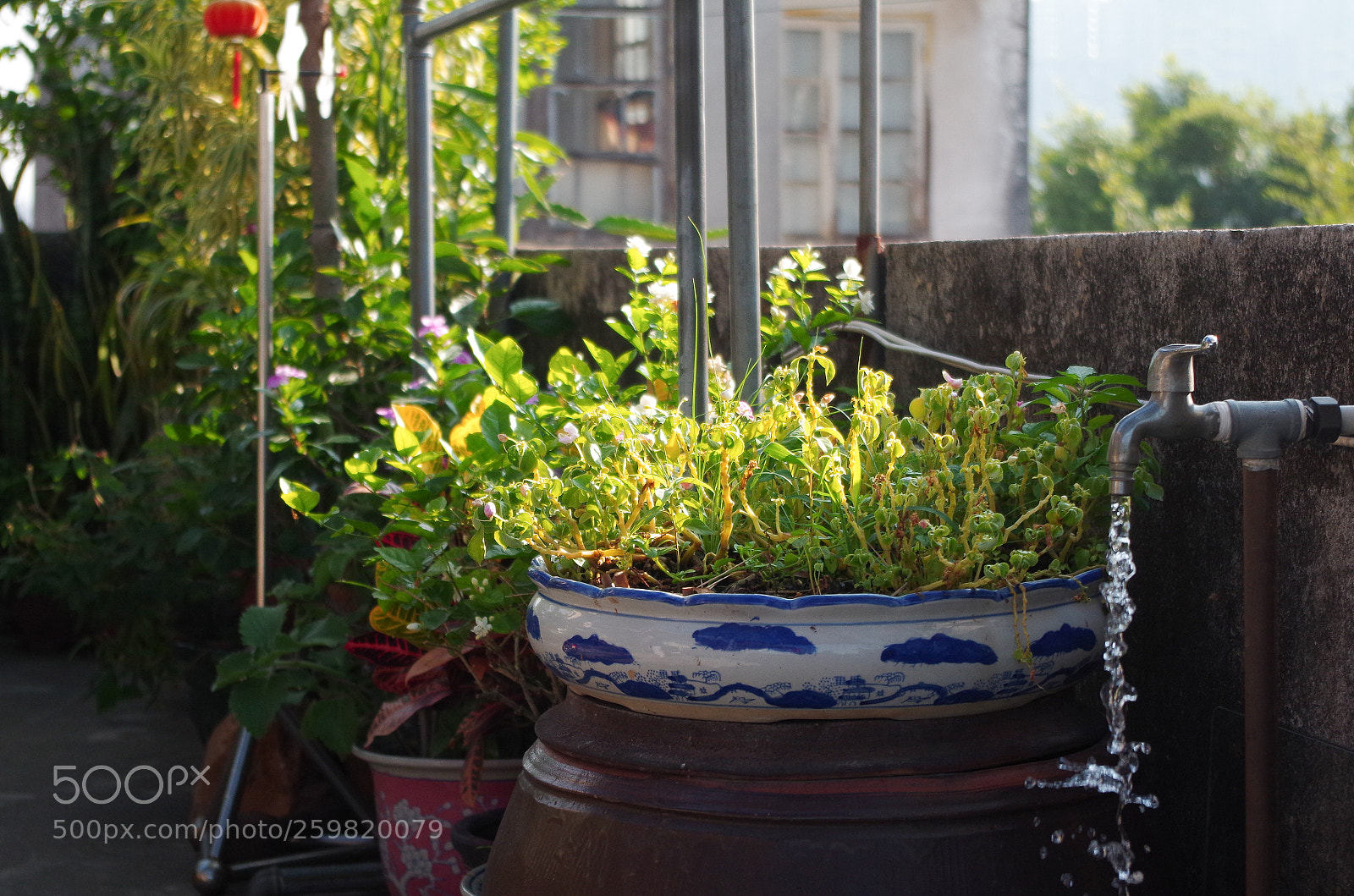 Pentax K-30 sample photo. Chinese garden photography