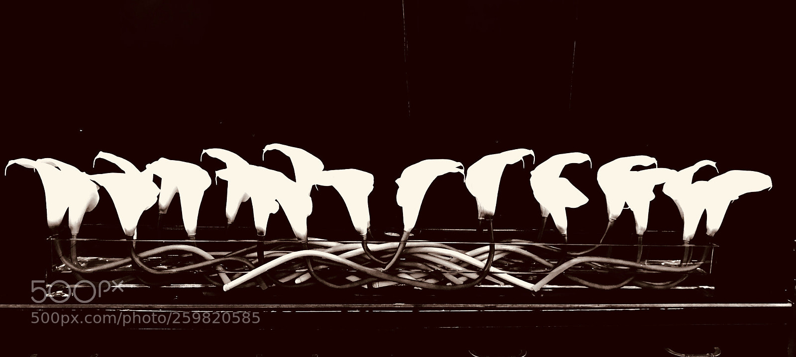 Apple iPhone X sample photo. Untitled photography