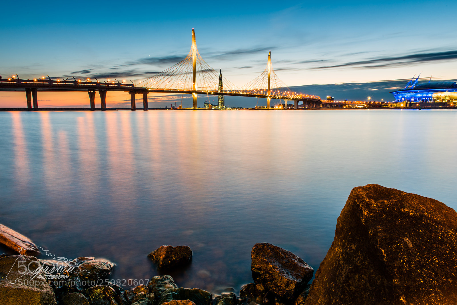 Nikon D810 sample photo. Where neva river meets photography