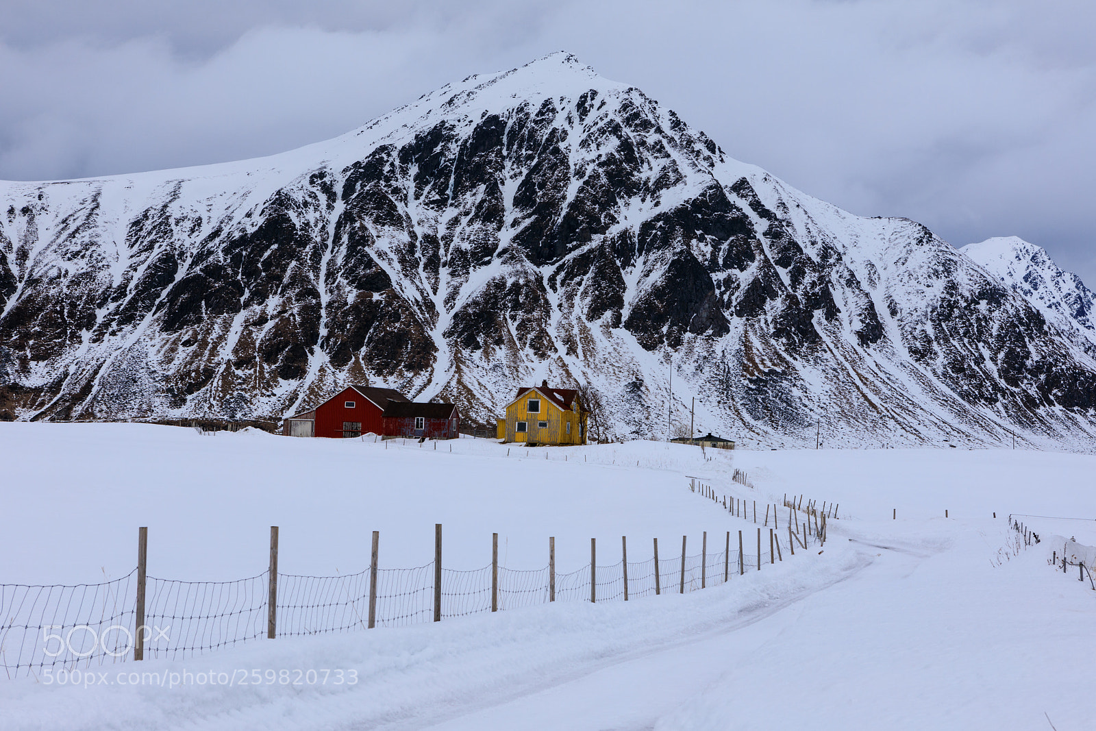 Canon EOS 5D Mark IV sample photo. Lofoten and senja photography