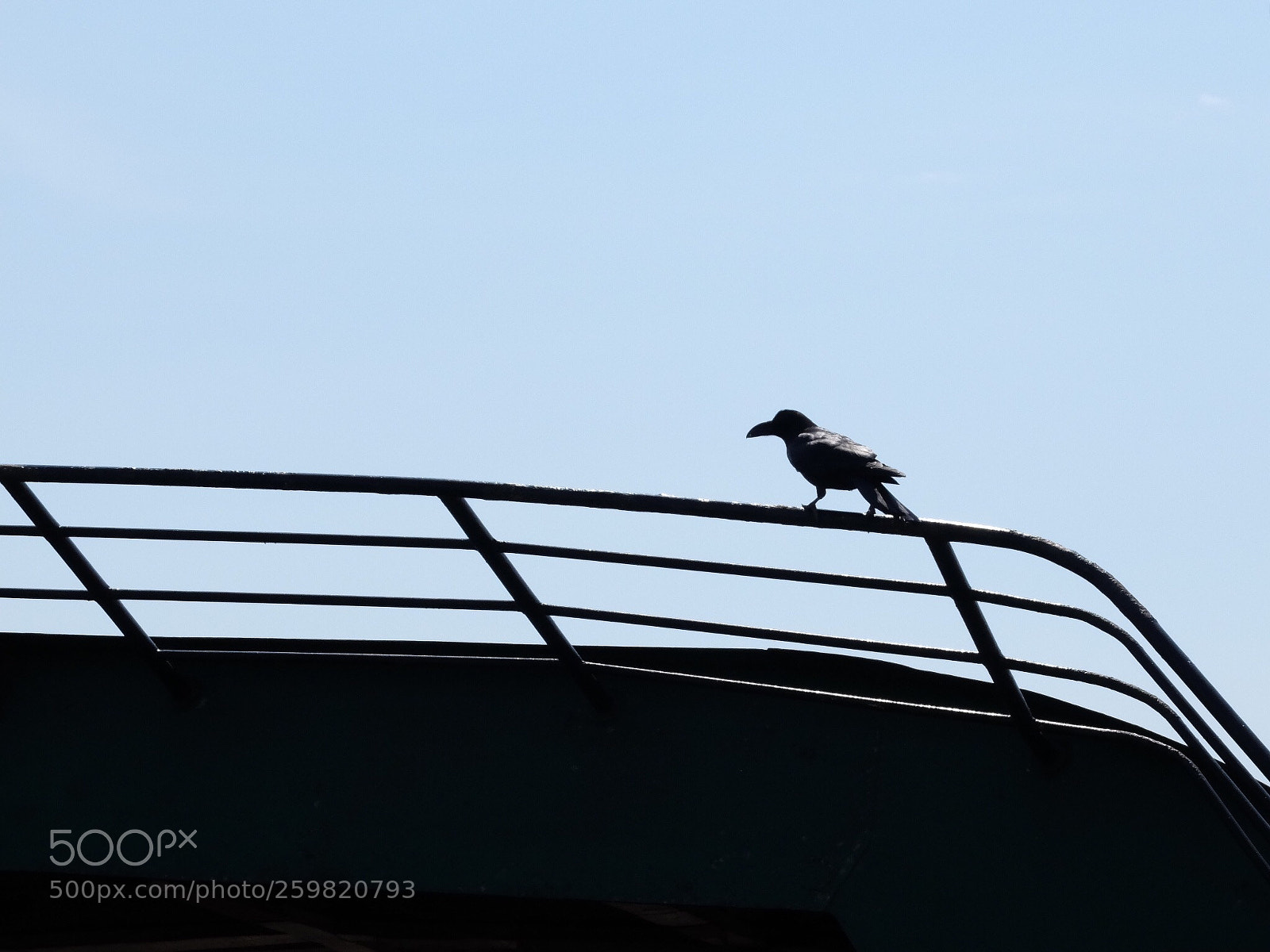 Fujifilm X30 sample photo. Notes for birds photography