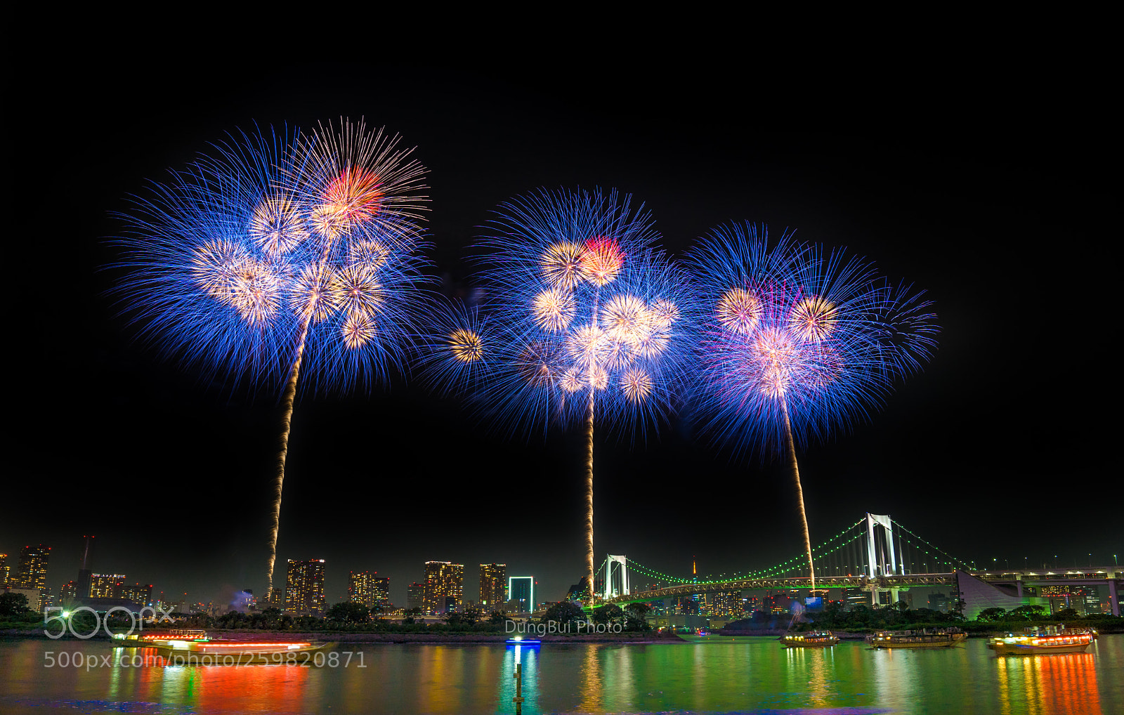 Sony a7 II sample photo. _dsc7319-4.jpg photography
