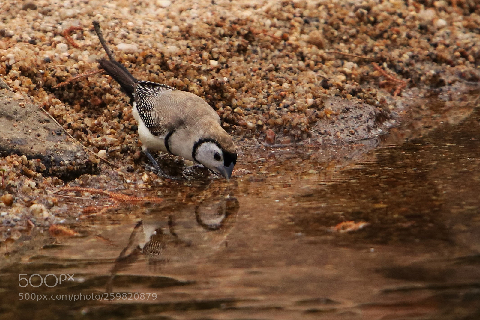 Canon EOS 80D sample photo. Having a drink photography