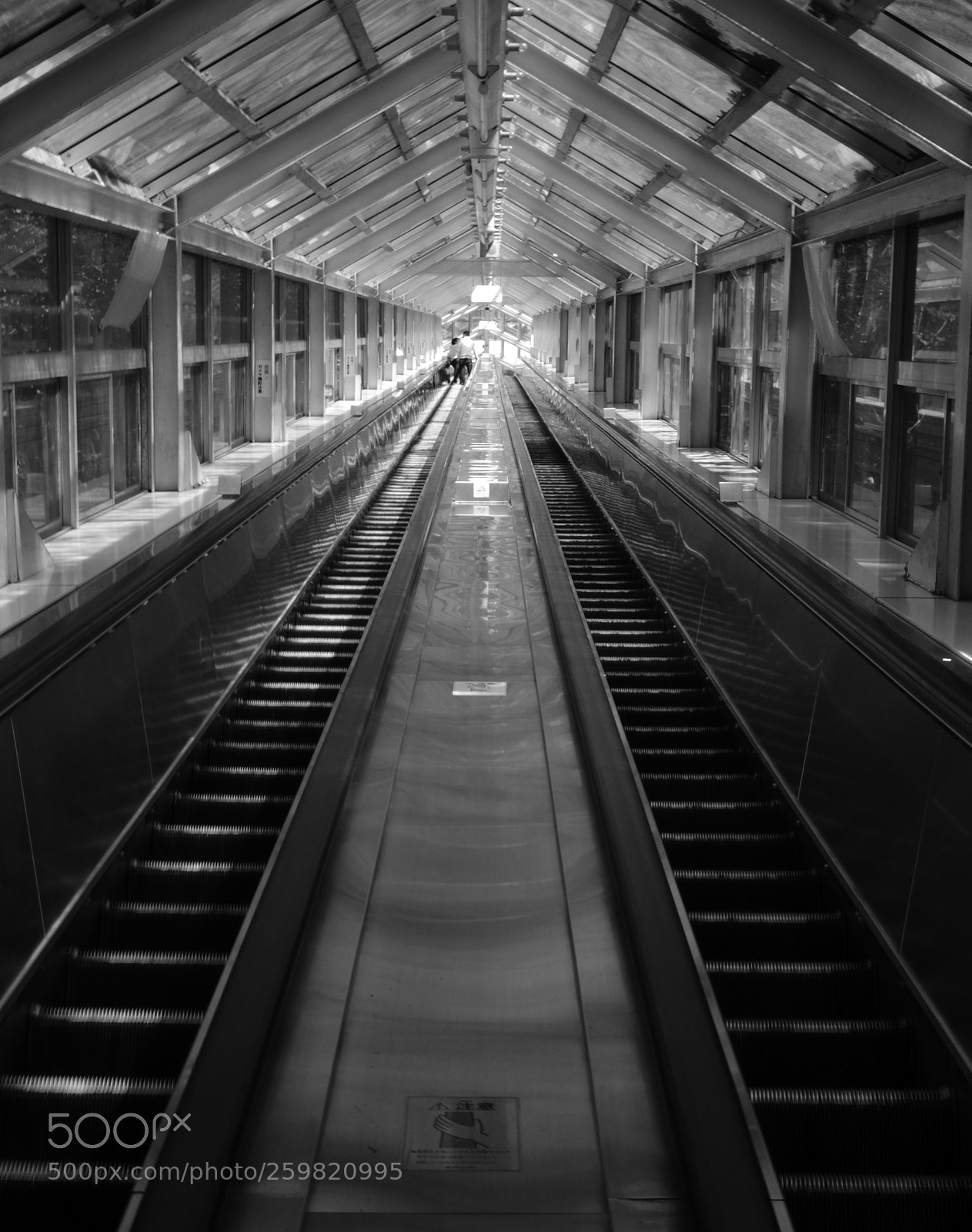 Nikon D5100 sample photo. Up or down ? photography