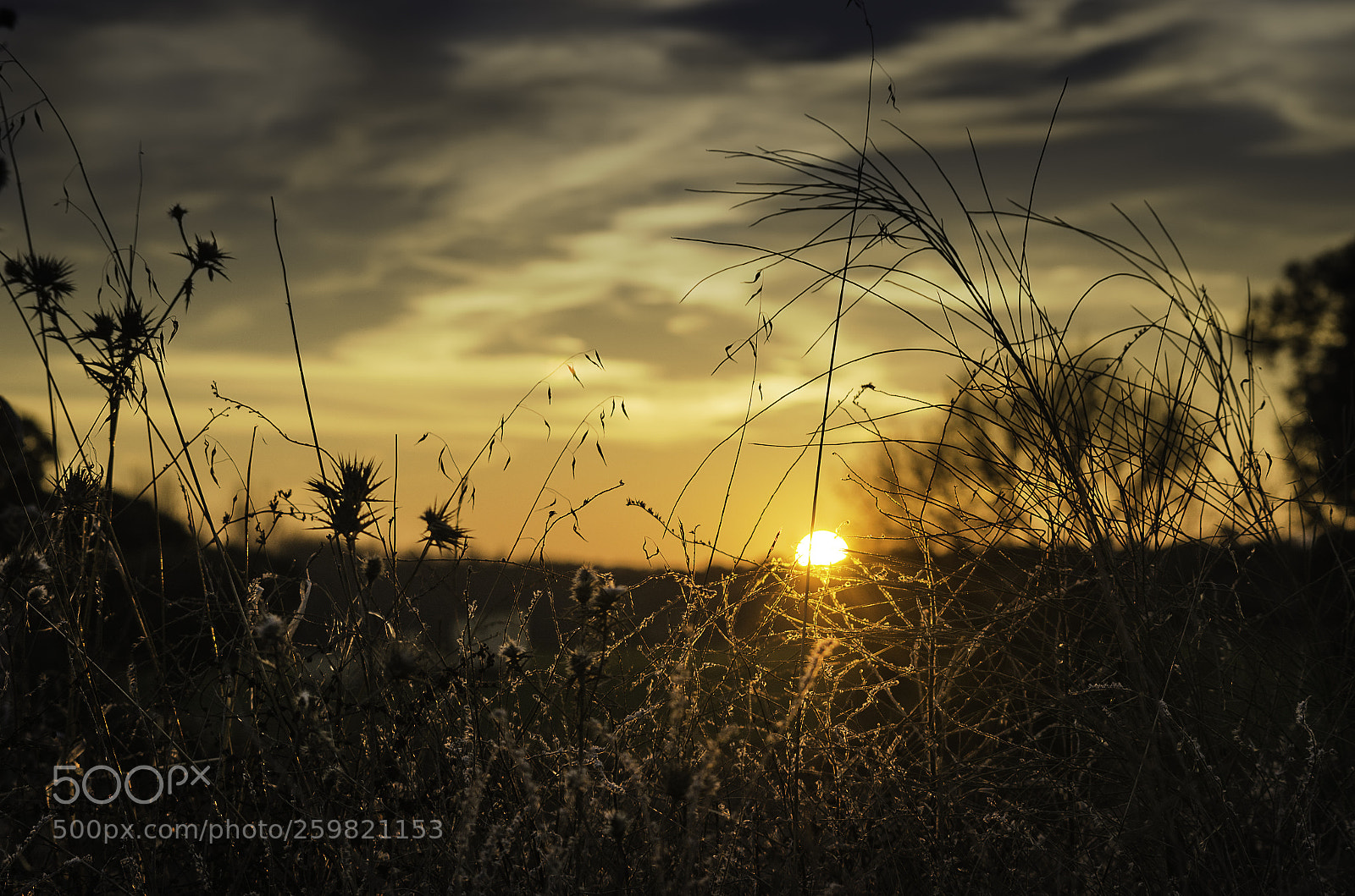 Nikon D5100 sample photo. Winter sunset in the photography