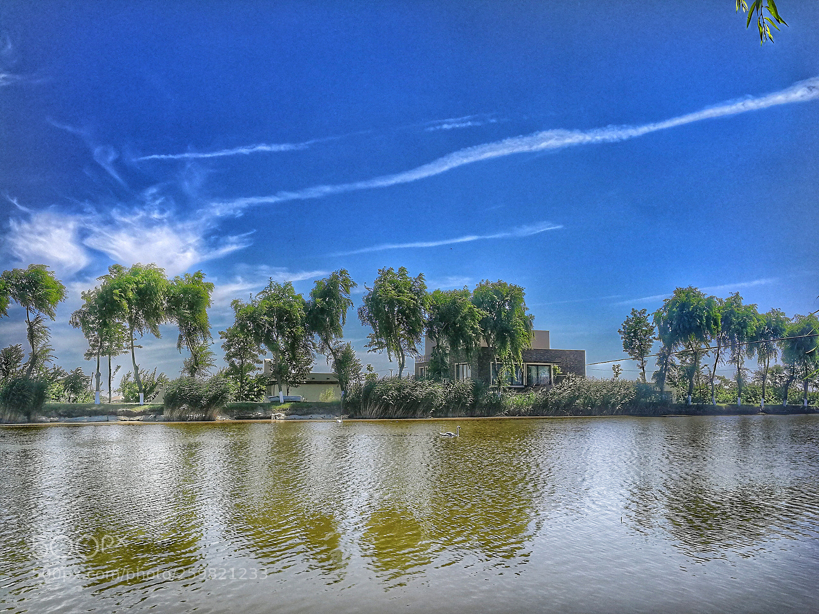 HUAWEI P10 sample photo. By the water photography