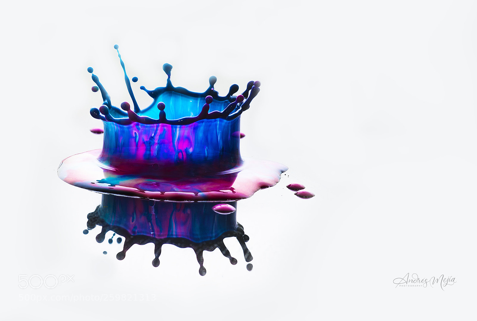 Nikon D810 sample photo. Color drop photography