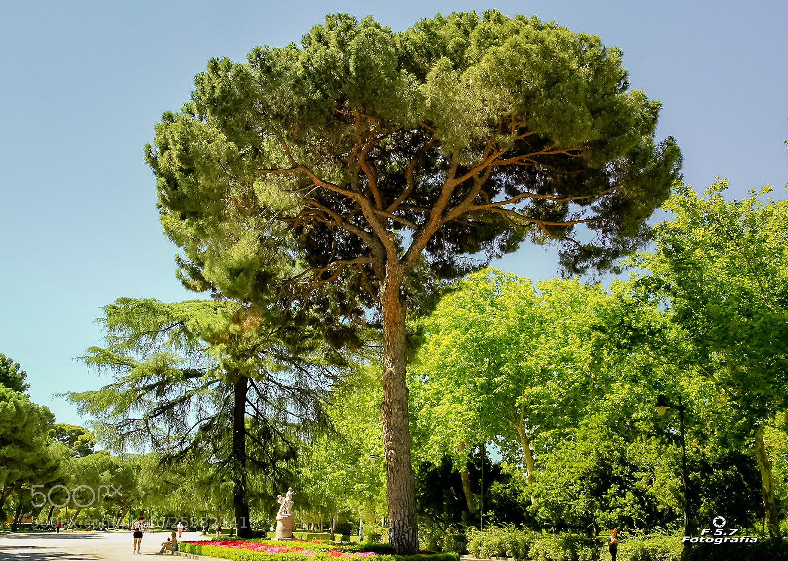 Canon EOS 7D sample photo. Parque del retiro photography