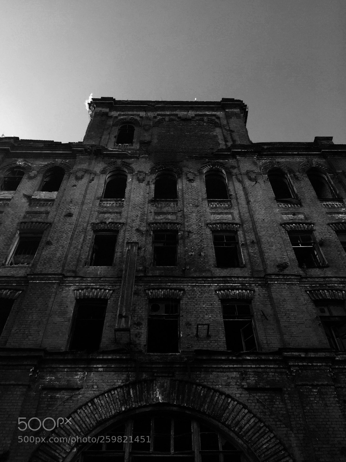 Apple iPhone 6 sample photo. Untitled photography
