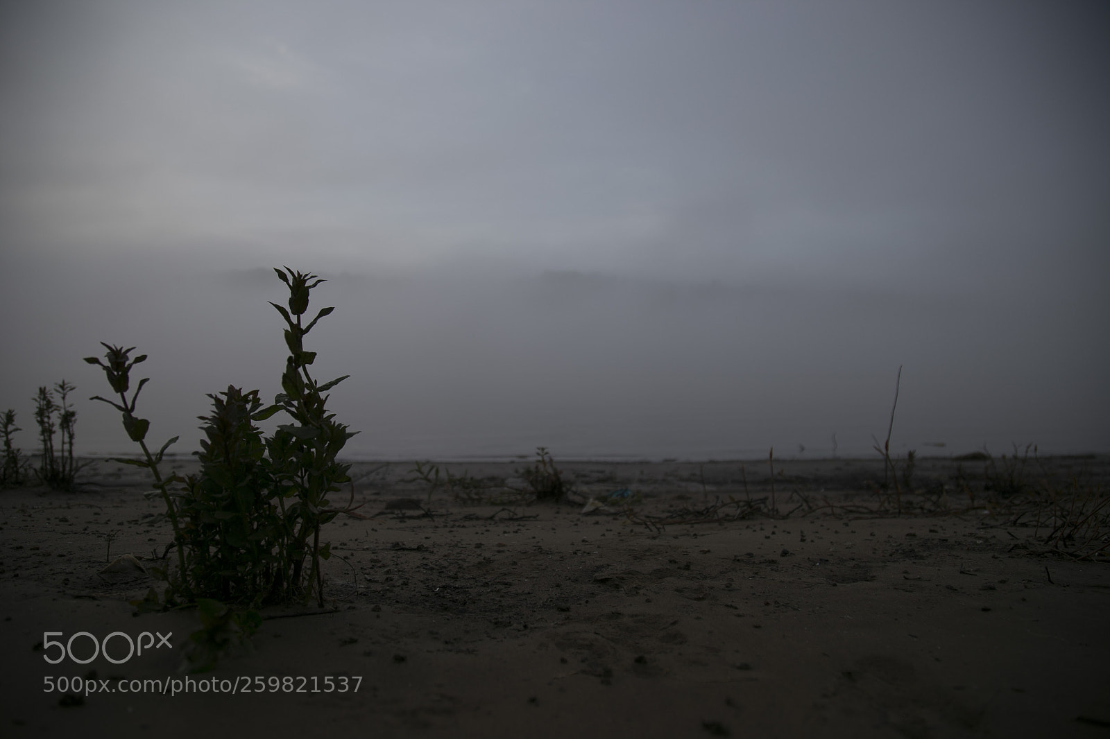 Canon EOS 6D sample photo. 173.jpg photography