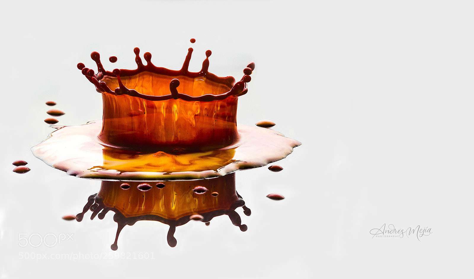 Nikon D810 sample photo. Red drop photography