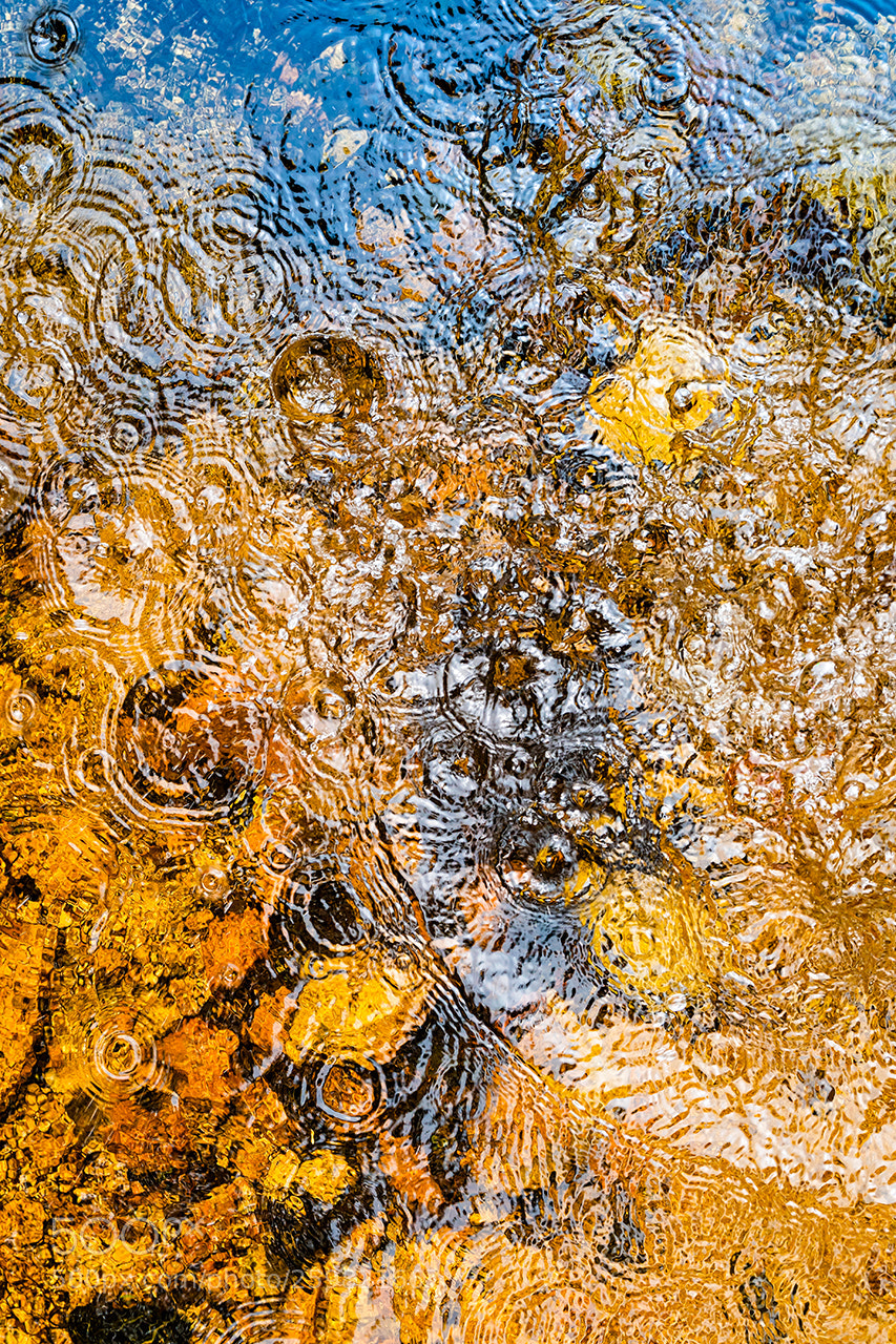 Sony a6300 sample photo. Circles on the water. photography