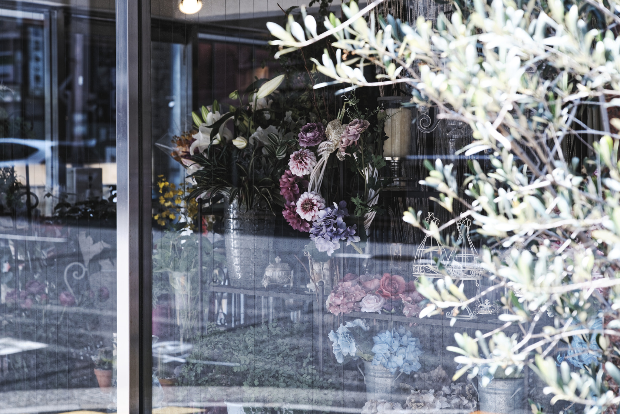 Nikon D750 sample photo. I will leave that to your imagination#155 photography