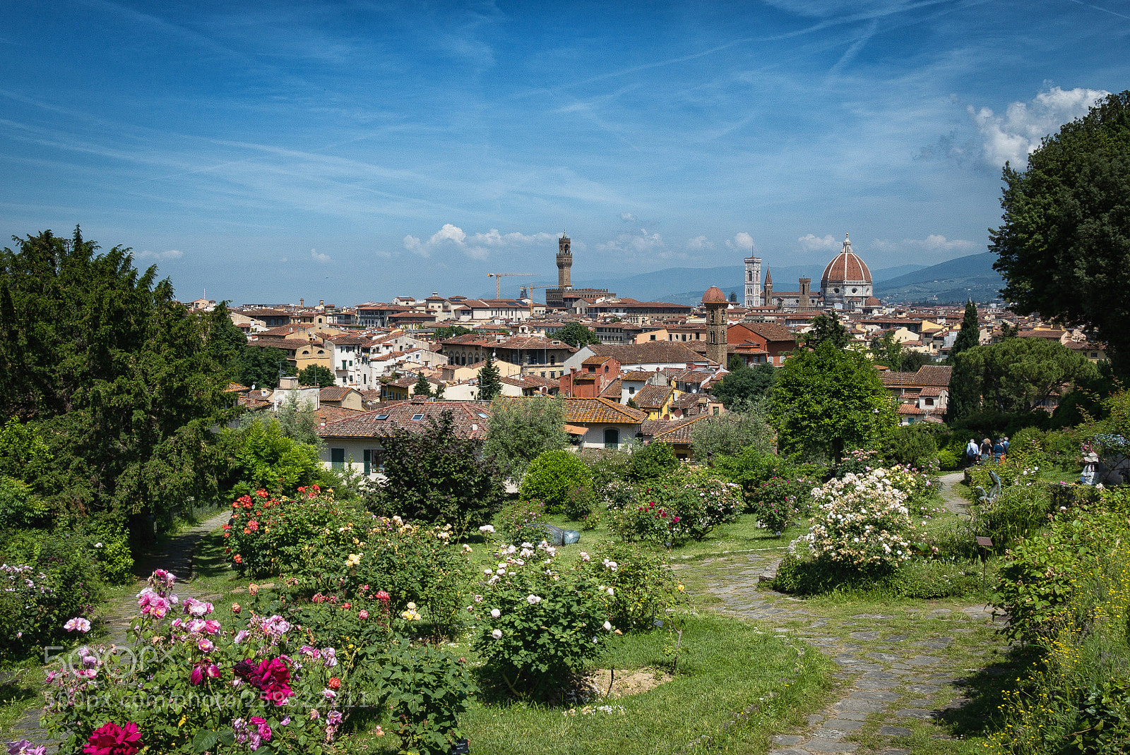 Panasonic Lumix DMC-LX100 sample photo. Giardino delle rose photography