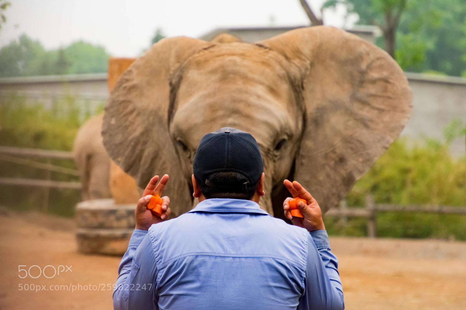 Nikon D3400 sample photo. Bjp photography